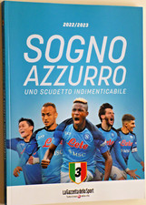 Libro sogno azzurro usato  Santarcangelo di Romagna