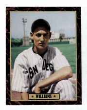 Ted williams san for sale  Dickinson