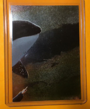 Free willy movie for sale  North Olmsted