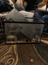 Complete aquarium setup for sale  Taylor