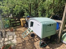 Eglu chicken hut for sale  TODMORDEN