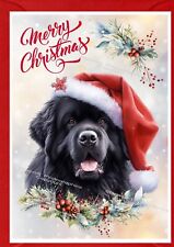 Newfoundland dog christmas for sale  YEOVIL