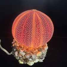 Sea urchin lucite for sale  Massillon
