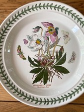 Portmeirion dinner plate for sale  HARROGATE