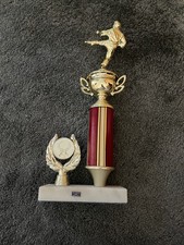 Karate trophy for sale  CHELMSFORD