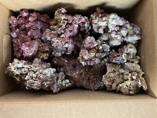 Real reef rock for sale  NORTHWICH