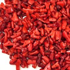 Red coral bamboo for sale  Allen