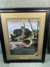 Spring crankin agnew for sale  Phoenix