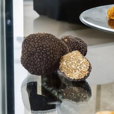 Tartufo nero scorzone usato  Torrecuso