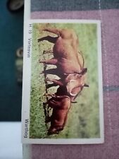 Ca5 trade card for sale  LEICESTER