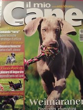 Mio cane 2021 usato Mio cane 2021 usato  Campagna