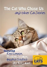 Cat chose cat for sale  UK