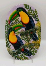 Keel billed toucan for sale  Oregon City