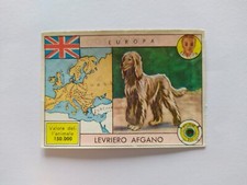 Figurina zoo amico usato  Roma