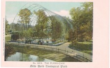 Gaiola voadora zoológica estilo rotógrafo 1910 Nova York zoológico zoológico NYC Bronx , usado comprar usado  Enviando para Brazil