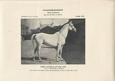 Stampa antica fotografica usato  Lecco