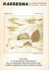 Atti del copnvegno usato  Scandicci