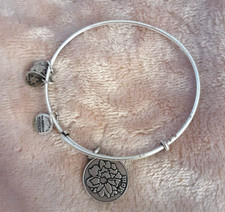Alex ani silver for sale  Rockland