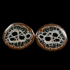 Septarian dragon stone for sale  Post Falls