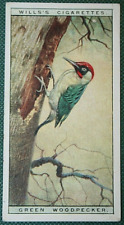 Green woodpecker vintage for sale  DERBY