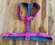 Hundegeschirr trixie premium gebraucht kaufen  Greifswald-Alte Stadtteile