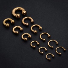 Usado, Anel de nariz de titânio dourado, piercing circular com barra - septo de ferradura - 0G - 12G comprar usado Usado, Anel de nariz de titânio dourado, piercing circular com barra - septo de ferradura - 0G - 12G comprar usado  Enviando para Brazil