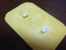 Dental sealant model for sale  Apache