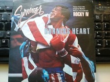 Survivor 1985 disco usato  Cassano d'Adda