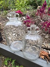 Gallon demi john for sale  BIDEFORD