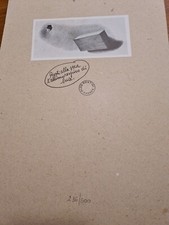 Aldo rontini stampa usato  Faenza