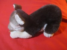 Adorable german shepherd for sale  Mount Ephraim
