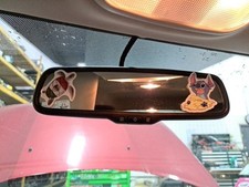 Interior rear view for sale  Rosemount