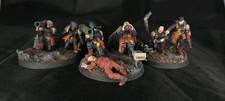 40k painted astra for sale  BAMPTON
