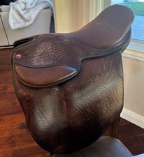 Arabian saddle company for sale  Upland