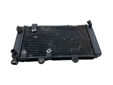 Radiatore radiator acqua usato  Frattaminore