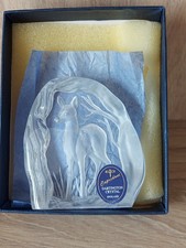 Capredoni miniature fawn for sale  PEACEHAVEN