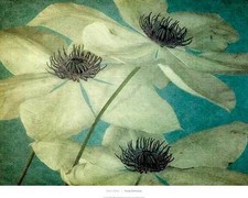 Floral art print for sale  Manahawkin