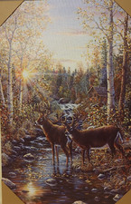 Whitetail buck rivers for sale  Mehoopany