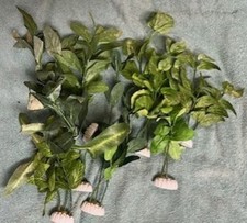 Assorted silk aquarium for sale  Rosenberg