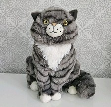 Immaculate mog cat for sale  HOUGHTON LE SPRING