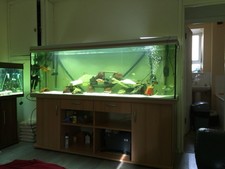 Rena 6ft aquarium for sale  HORNCHURCH