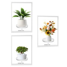 Picture frame plant for sale  Beverly Hills