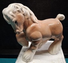horse horse for sale horse horse for sale Council Grove