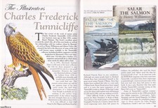 C.f. tunnicliffe. original for sale  SHREWSBURY