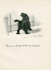 cocker spaniel print for sale  COLEFORD