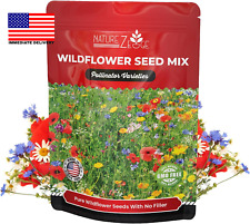 000 wildflower seeds for sale  Miami