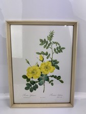 Vintage framed pierre for sale  BLYTH