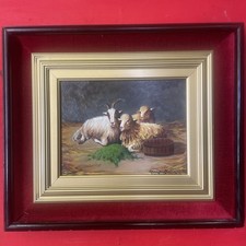 Quadro dipinto olio usato  Caserta