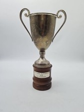 Rare trophy trofeo usato  Italia