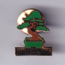 Rare pins pin d'occasion  Ménéac